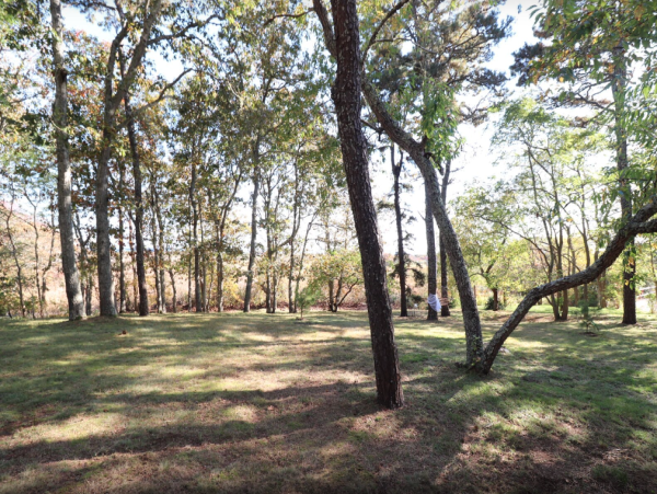 Spacious 9-Bedroom Family Home Near Red river Beach - Perfect for Your Vacation